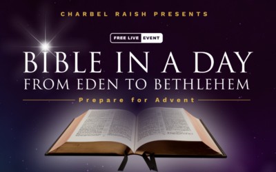 Bible in a Day: From Eden to Bethlehem, with Charbel Raish @ Randwick NSW